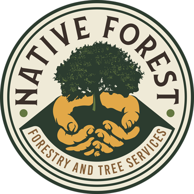 contact native forest