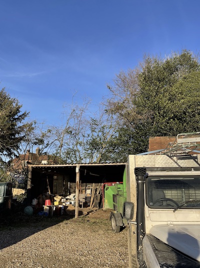Dangerous tree safely removed with climbing and rigging techniques.