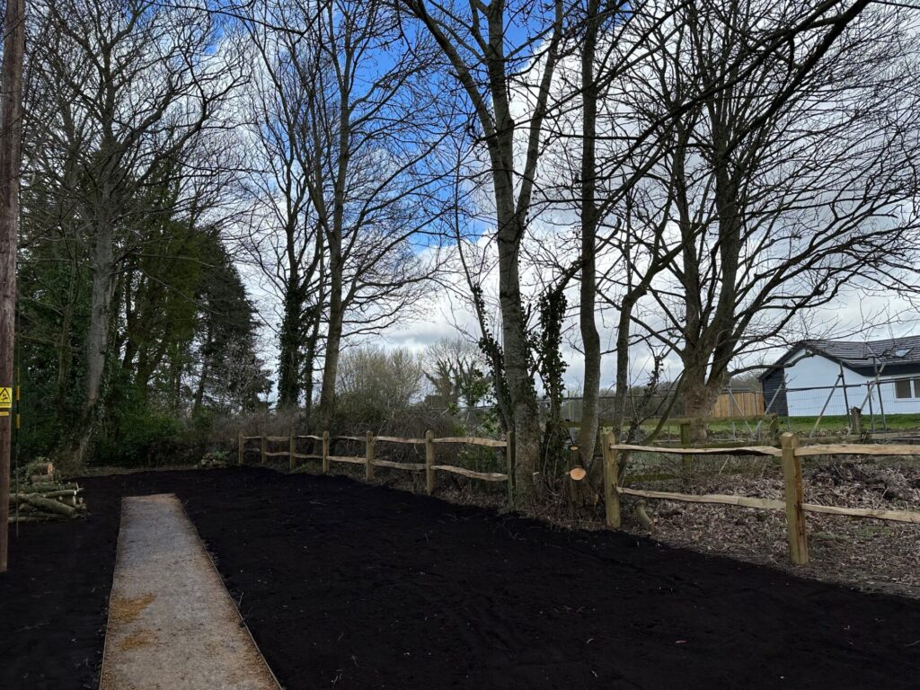 Dangerous Ash trees with Ash Dieback