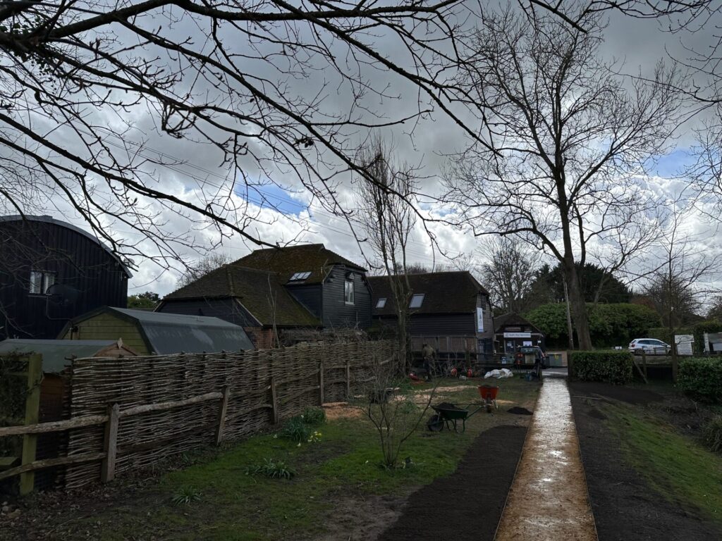 Dangerous Trees Removed from park