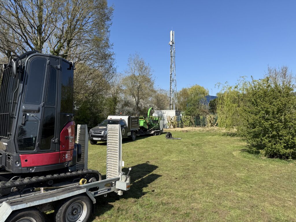 tree shear used to clear boundary